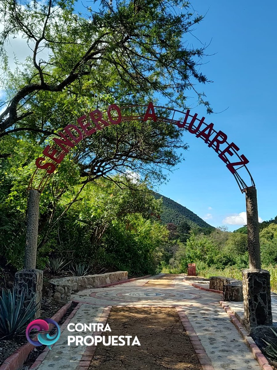 ContraProMx's tweet photo. #SenderoAJuarez 🌳😀
Senderos arbolados, tranquilidad, sonido del río, bonitos puentes, cascadas, todo eso encontrarás en el sendero a Juárez, partiendo de #Tlalixtac, hasta llegar al puente de #ElEstudiante; ya sea lo hagas a pie o en bicicleta, la ruta no es muy exigente y en tan solo 8 kilómetros podrás disfrutar de espacios para un buen día de campo o paseo en la naturaleza. ¡No te lo pierdas!, está muy cerca de la capital. 
#Oaxaca #tlalixtac @GobOax @SECTUR_GobOax #deporte