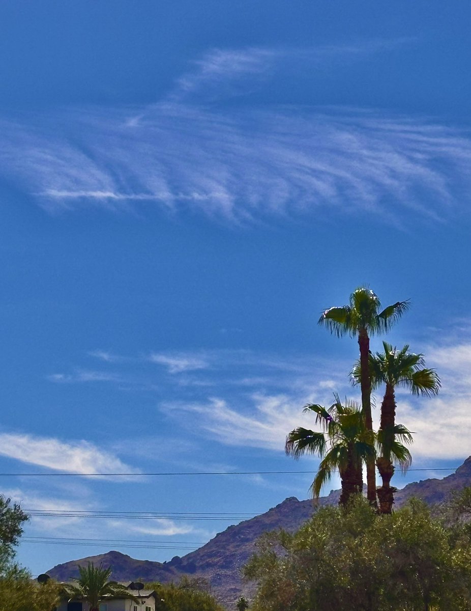 It feels a bit like autumn 🍂°̥࿐

Have a happy day &amp; happy weekend ¨̮