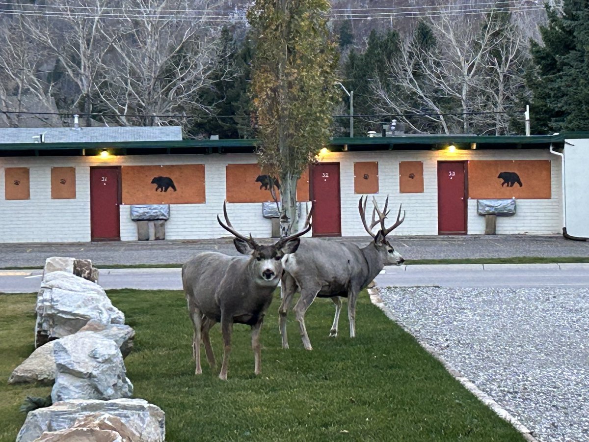 Jamie 💙🦋🌎 tweet media