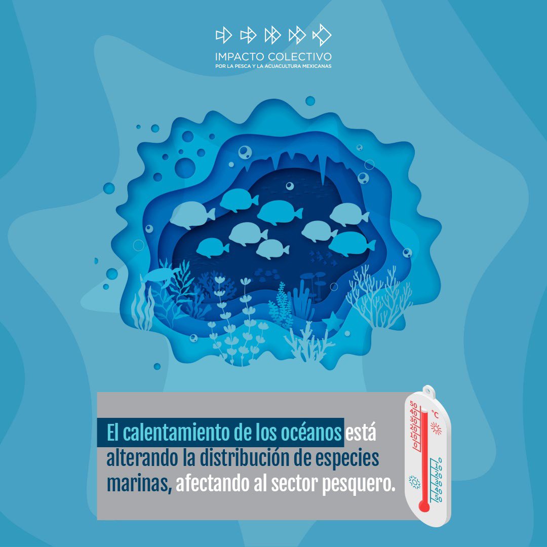 ICPMX1's tweet photo. El cambio climático está impactando profundamente a la pesca y la acuacultura en todo el mundo.
Es urgente adoptar medidas que protejan nuestros océanos y a las comunidades pesqueras. 🌊💙
#CambioClimático #PescaSostenible #ICPMX https://t.co/4sS3BBbVA6