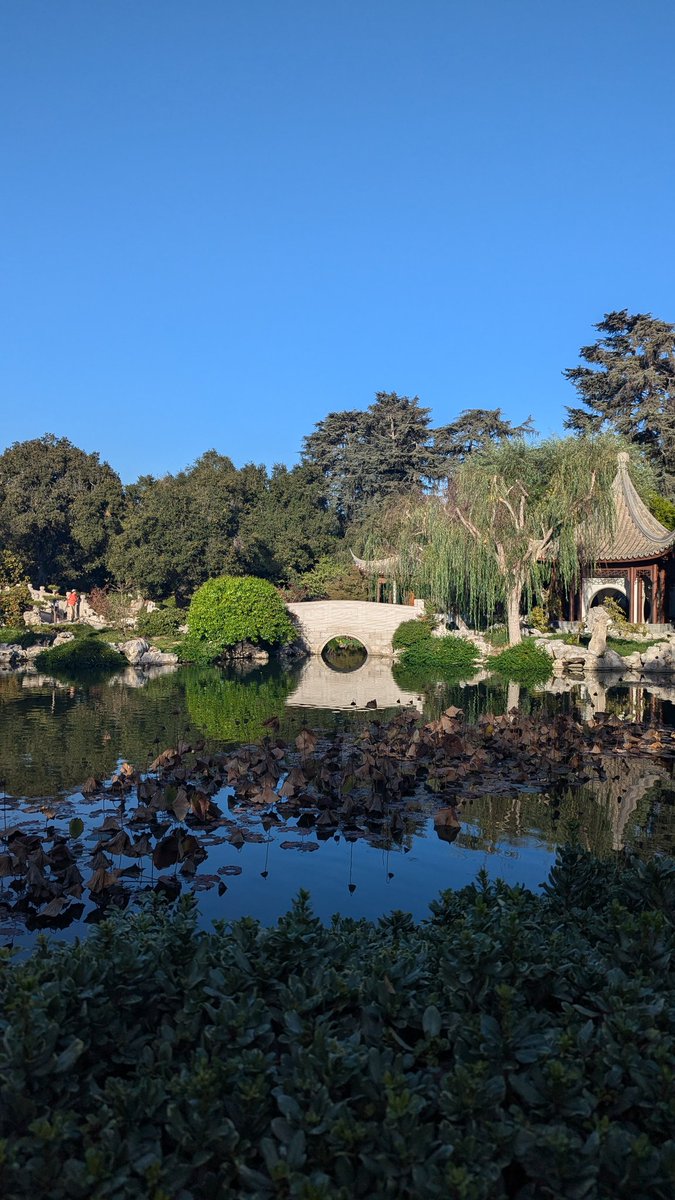 Anna Moshak tweet media