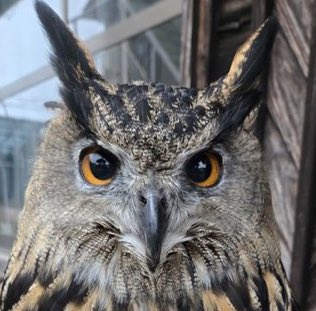 At first I loled                                 then i serioused