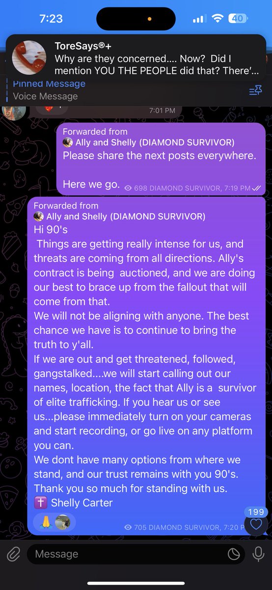 remotelyrising's tweet image. #AllysArmy 🙏🦁❤️‍🔥