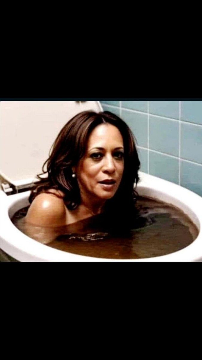 Studio 3.14 👑 tweet media