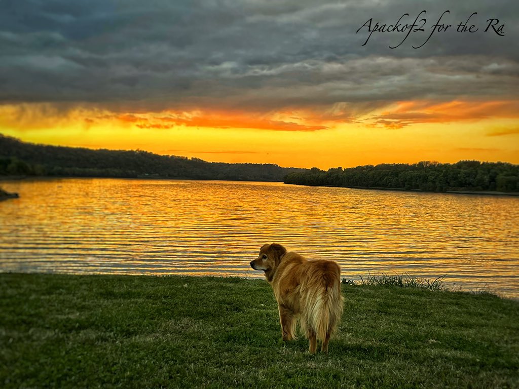 Apackof2Redux's tweet photo. Sunset on the Ohio River..Kentucky/Indiana border. Good Night my fellow patriots
#apackof2 #fulltimervers #sunsetphotography
#ohioriver #Kentucky #travelingwithdogs #sunsetlovers https://t.co/8dBcc4iVSp