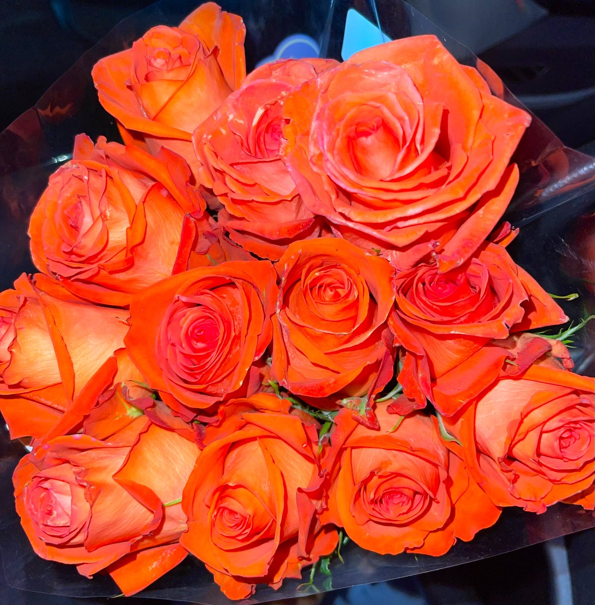 j_deniseeee's tweet photo. October: 🧡🎃🕸️
#LovingOnMe #DatingMyself #AlwaysHer #ForeverBecoming #JusticeForJelaniDay #FallSeason https://t.co/Jq890NotFF