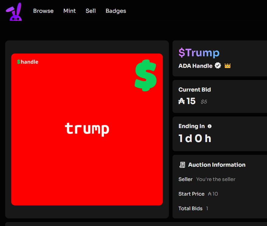 Ultra_LabsX's tweet photo. Bidding is NOW LIVE for the $TRUMP @adahandle - Proceeds from this auction will go to US victims of Hurricanes Helene and Milton! 🇺🇸 Bid via @GrabbitNFT right now until 5:30PM PST Friday! https://t.co/RBXYOlmW6h $ADA #Cardano @cardano_whale @tokeopay @coc_space @elraulito @elonmusk @realDonaldTrump
