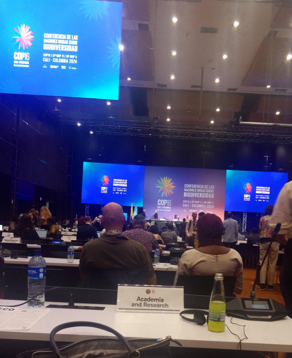 Marga L Rivas tweet media