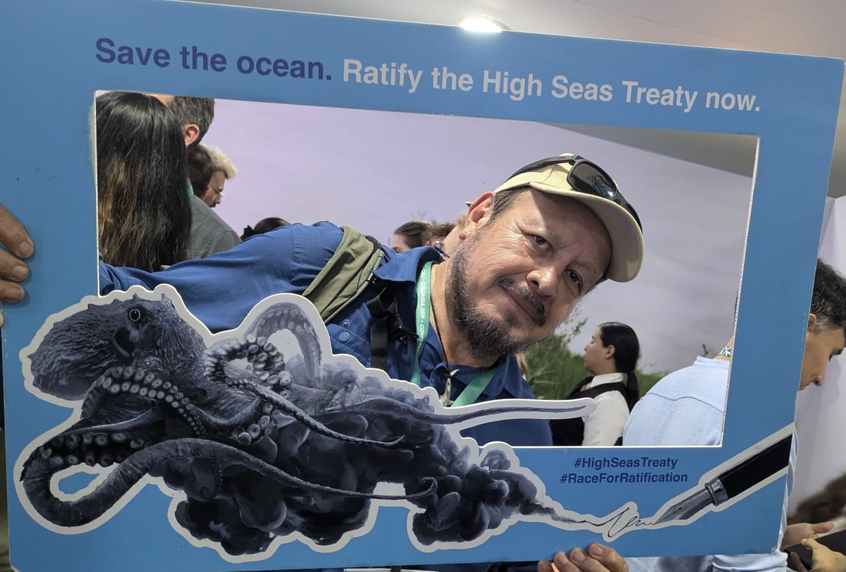 #COP16Cali 
High Seas alliance que busca la ratificación del High Seas treaty, está firmado pero no ratificado por México.
<a href="/SEMARNAT_mx/">SEMARNAT México</a> <a href="/SRE_mx/">Relaciones Exteriores</a> <a href="/aliciabarcena/">Alicia Bárcena</a> 
<a href="/UNBiodiversity/">UN Biodiversity</a> <a href="/Claudiashein/">Claudia Sheinbaum Pardo</a> <a href="/uicn_mx/">Comité Mexicano UICN</a>