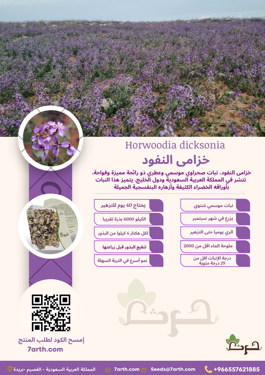 صور  ومعلومات لبعض الزهور والنباتات الربيعية  المحلية 

هذه الفترة  مناسبة جدا لإستراع  النباتات البرية

#ليلة_الجمعة   امطار #حرث # الجمعة #السعودية