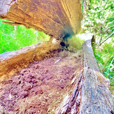 ht99334ss_'s tweet photo. #NewProfilePic (新個人資料照片) https://t.co/eE0UVWzRCr