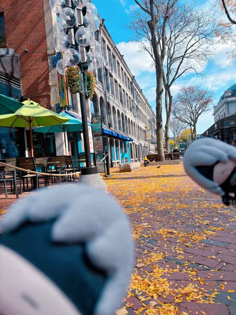 sem_sep's tweet photo. Hello, Boston!
#12024ぬい旅 #nierconcert https://t.co/3mpSrmA4kl