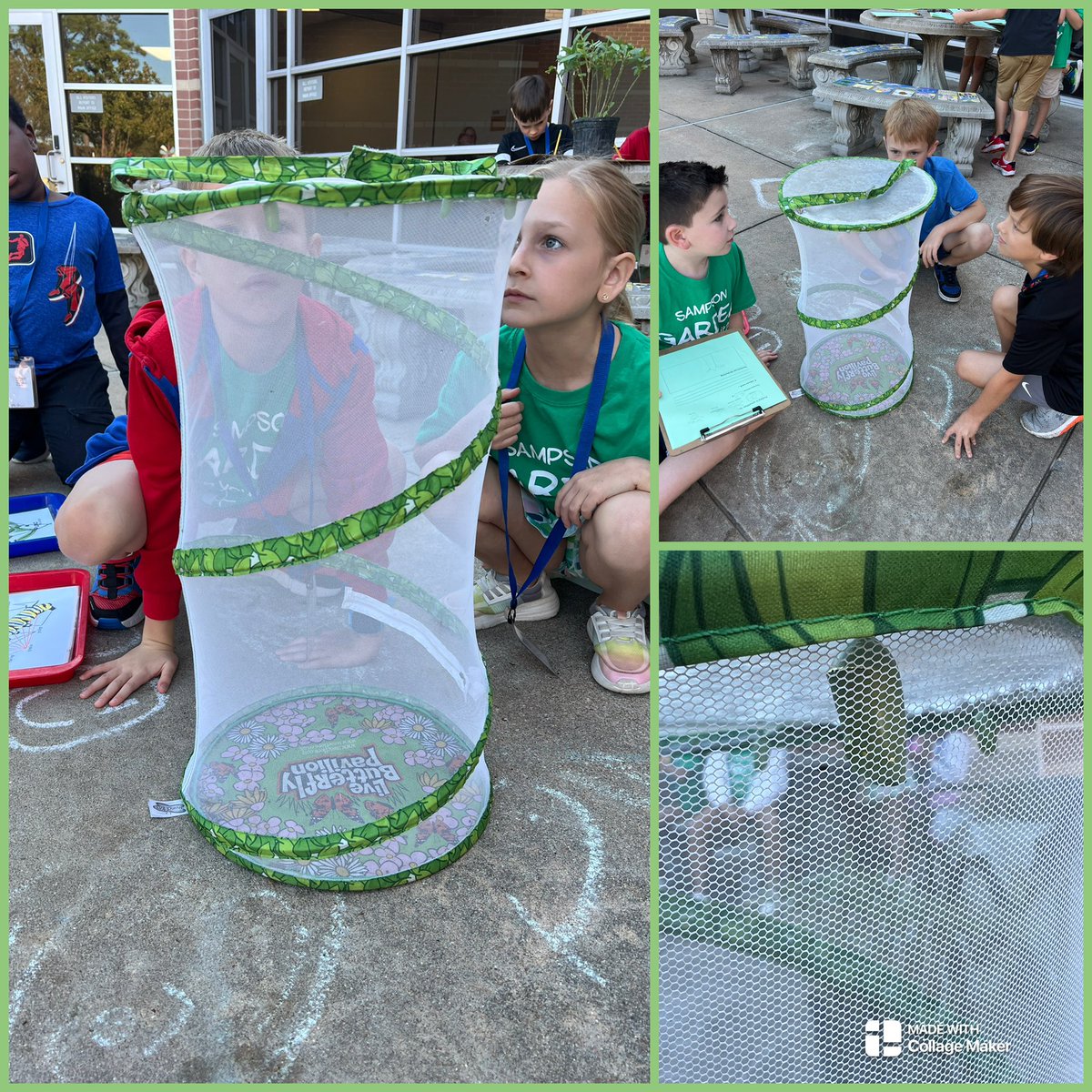 Kristy Michel tweet media