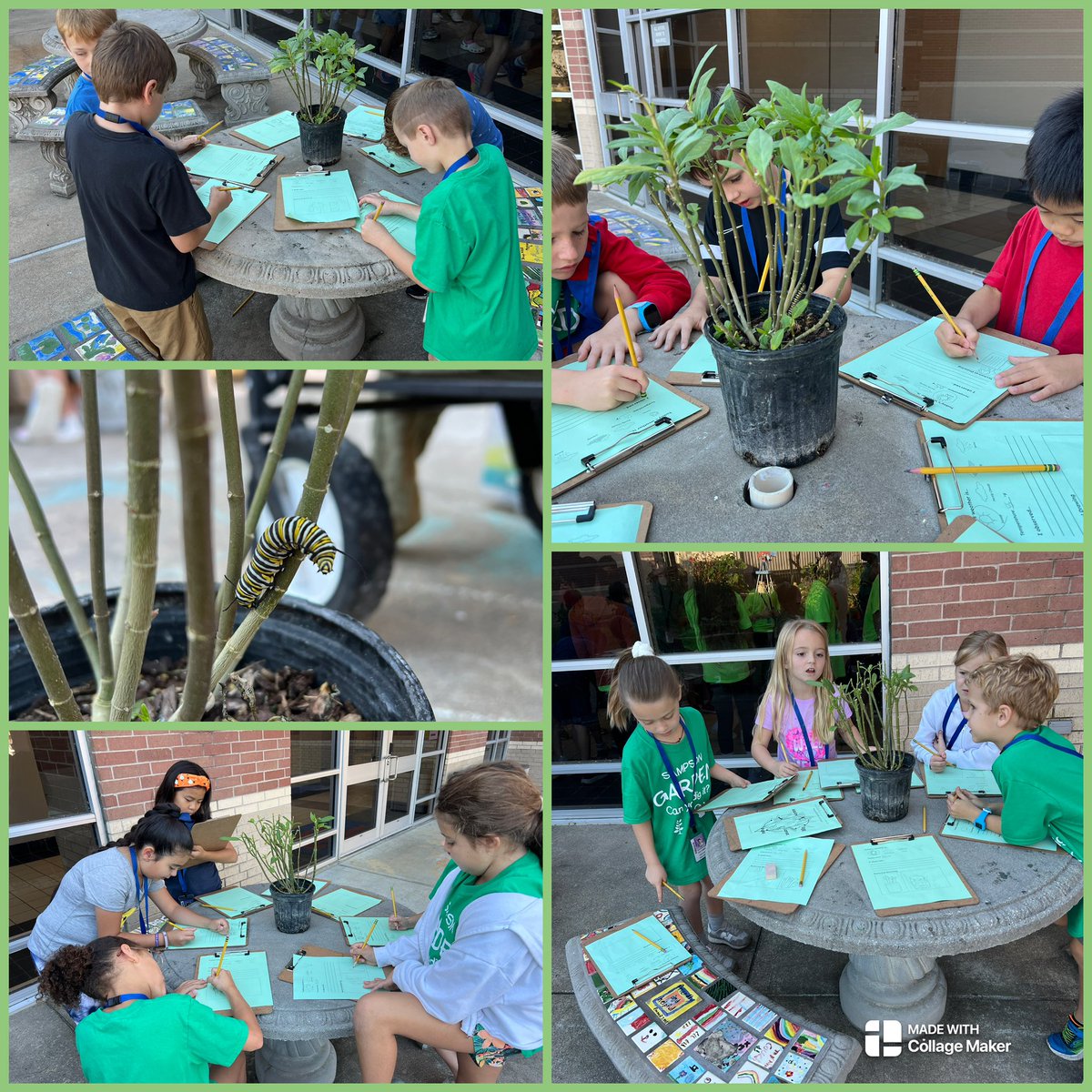 Kristy Michel tweet media