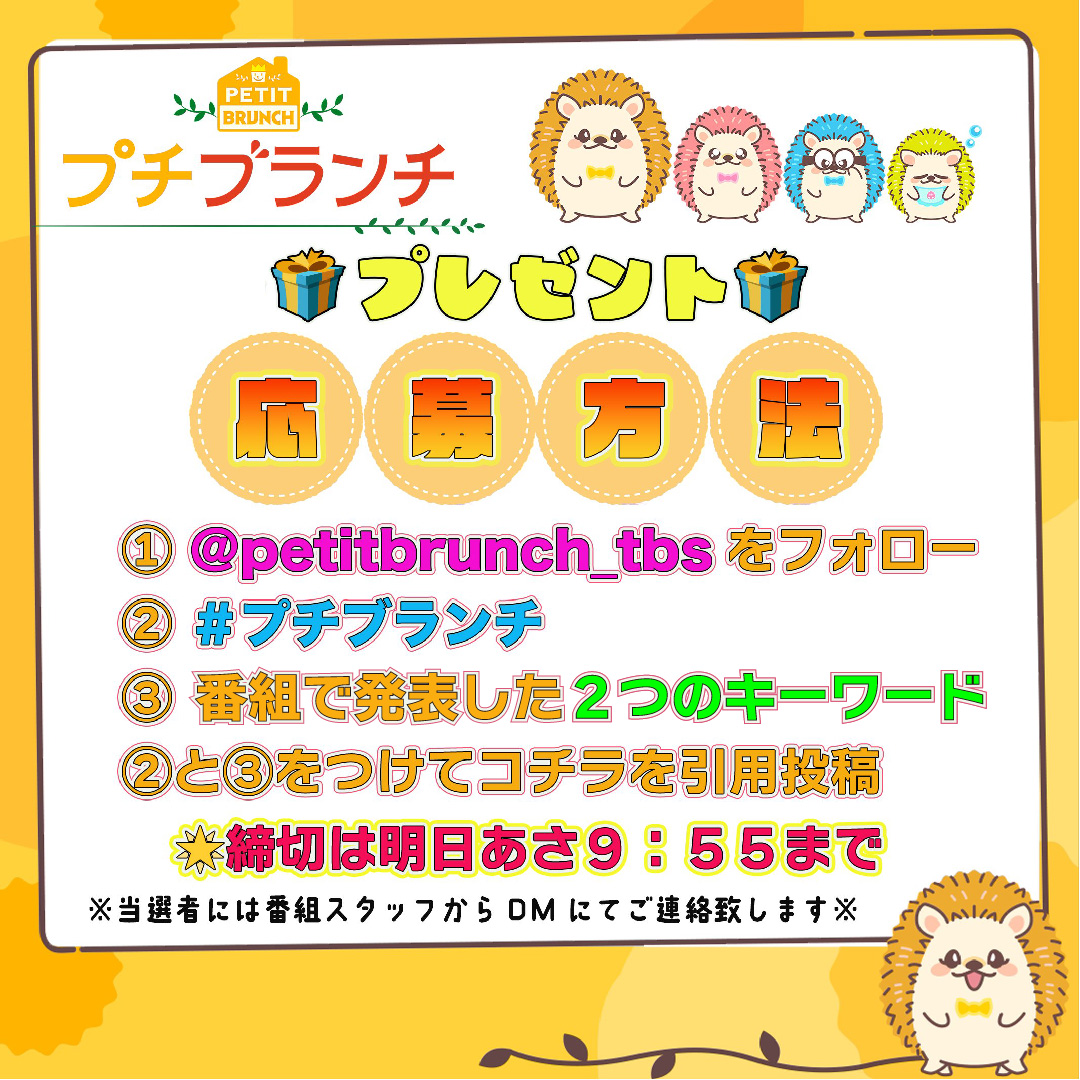 petitbrunch_tbs's tweet photo. プチブランチ🌟視聴者プレゼント🎁

【番組特製QUOカード10万円分】を抽選で１名様にプレゼント✨

①このアカウントをフォロー
②番組の放送中に発表した２つのキーワードと #プチブランチ をつけて
この投稿を引用リポストしてご応募ください❣️ https://t.co/VPkjLWLfPa