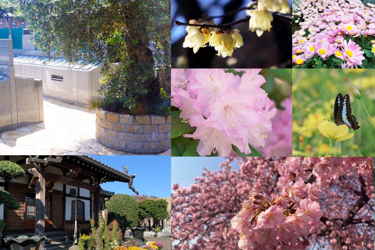 olivehikari's tweet photo. 『杉並 樹木葬 オリーブ光の庭園』
管理費不要でご利用できます。

《資料請求・見学予約》        
https://t.co/JQEGrS7BeN         

《ラインで簡単お問い合わせ》        
https://t.co/hWWDfW10Sp

#樹木葬　#管理費不要　#新高円寺 https://t.co/96wvlBqxsk