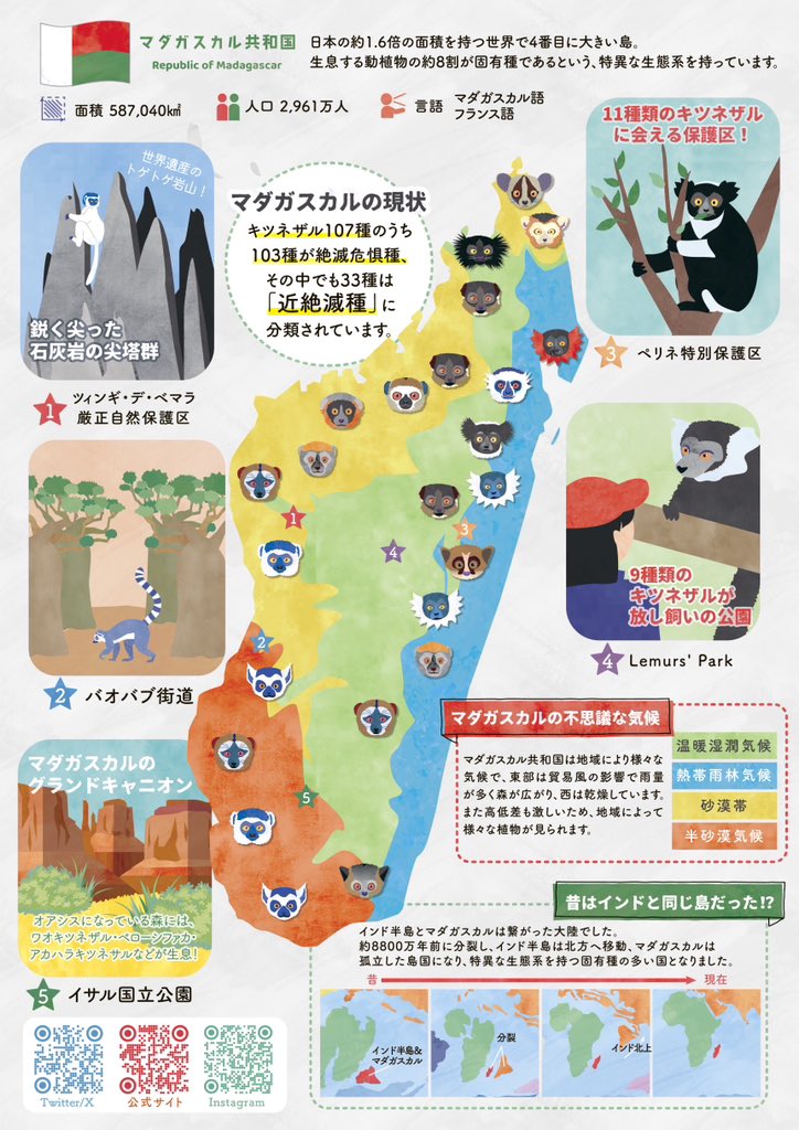 本日10/25は世界キツネザルの日🐒
自然の中であるべき姿で暮らせるように。。
今年は博物ふぇすの企画でキツネザル調査をして、冊子を作ったのでそれを！！
#世界キツネザルの日 
#WorldLemurDay
#キツネザル #ワオキツネザル
#イラスト
#Illustrator