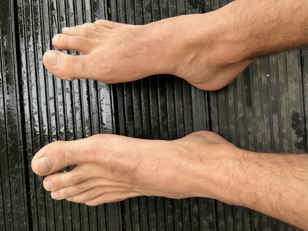 🇩🇪 SerkanHH 1981 Alpha Top tweet media