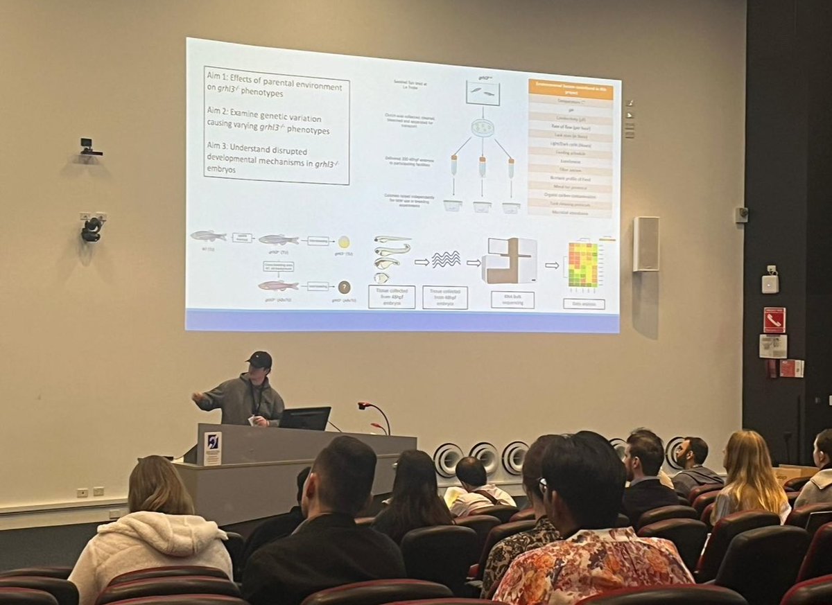MAPP_latrobe's tweet photo. Great to see our MAPP HDRs presenting at the @ONJCRI Northern Brightest Stars Student Symposium! 🎙️

And a huge congratulations to @Irumi_A from the @HelbigLab for winning the flash talks! ⚡️🎉

@SABE_latrobe @LTUresearchers https://t.co/V5zad28Ec2