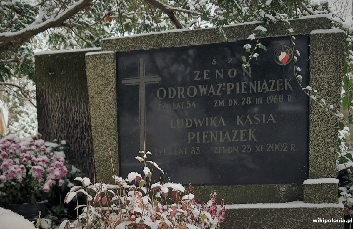 wikiPolonia tweet media