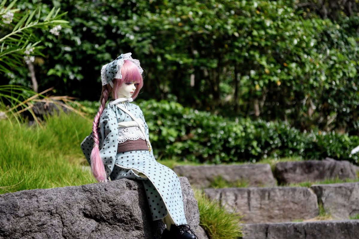 sAWic02's tweet photo. オーナーは撮ってる間に6箇所蚊に刺されましたがヨシコとかわいいお着物のためならなんてことはないです！！！！かゆい！！！！！ https://t.co/BdiIiIouel