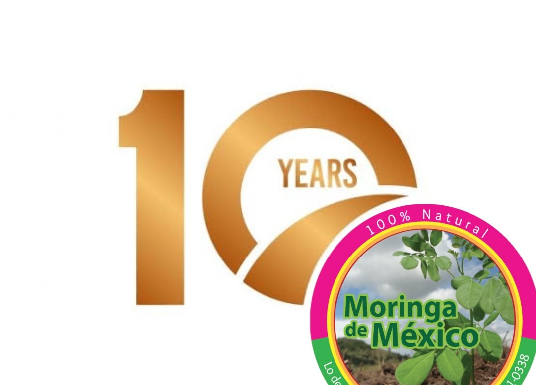 #moringa