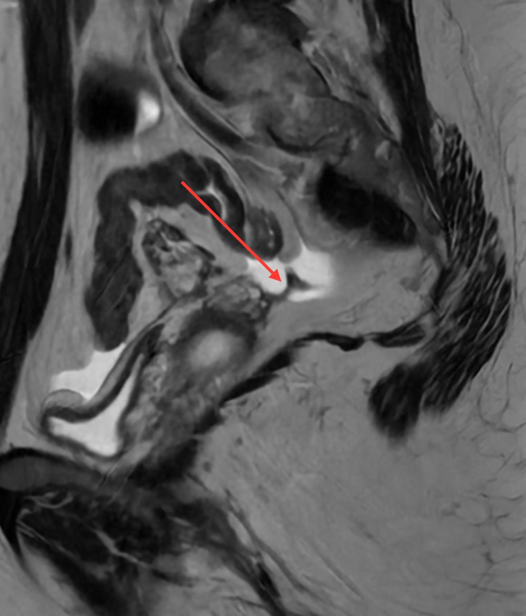 luciana@chamie.com.br tweet media