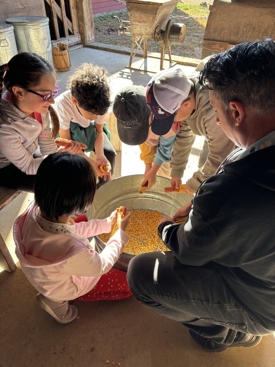 Rachel Stollar tweet media