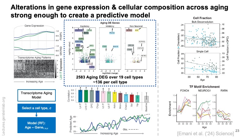 Mark Gerstein (@markgerstein) on Twitter photo Posting my keynote tomorrow at the <a href="/YaleMed/">Yale School of Medicine</a> Single-Cell Symposium, featuring lots of work by <a href="/YaleCBB/">Yale CBB</a> students lectures.gersteinlab.org/summary/Large-… Large-scale analysis of Brain Single-Cell Data <a href="/YaleData/">Yale Center for Biomedical Data Science (CBDS)</a> Posting my keynote tomorrow at the <a href="/YaleMed/">Yale School of Medicine</a> Single-Cell Symposium, featuring lots of work by <a href="/YaleCBB/">Yale CBB</a> students lectures.gersteinlab.org/summary/Large-… Large-scale analysis of Brain Single-Cell Data <a href="/YaleData/">Yale Center for Biomedical Data Science (CBDS)</a>