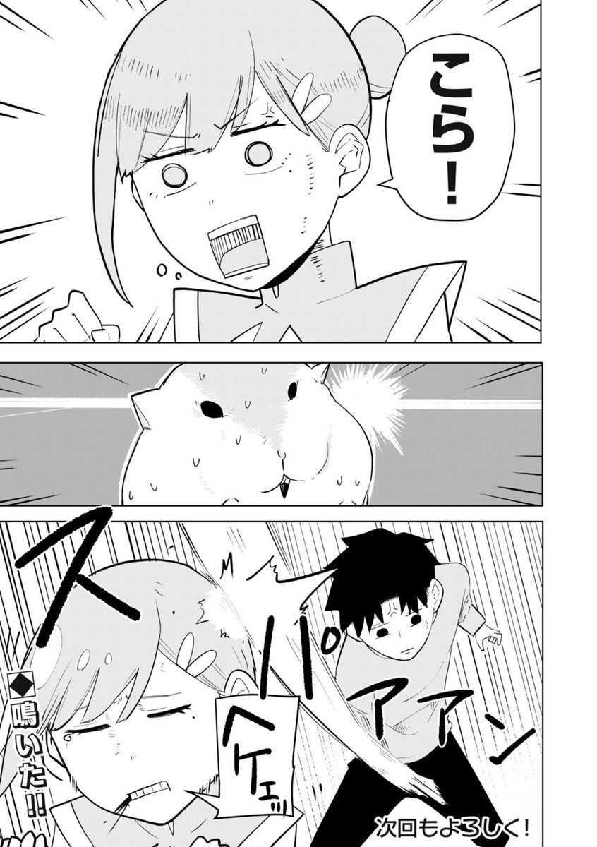 (4/4) 