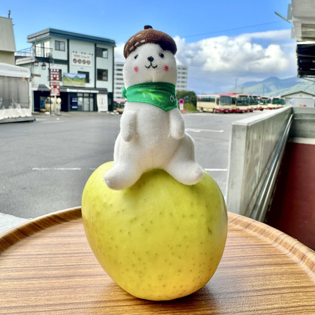 ぐんま名月】が旬を迎えます✨️ 黄色い品種ですが、陽があたった部分