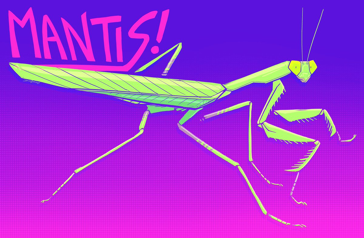 #invertober day 24, giant asian mantis. 0_0

#invertober2024