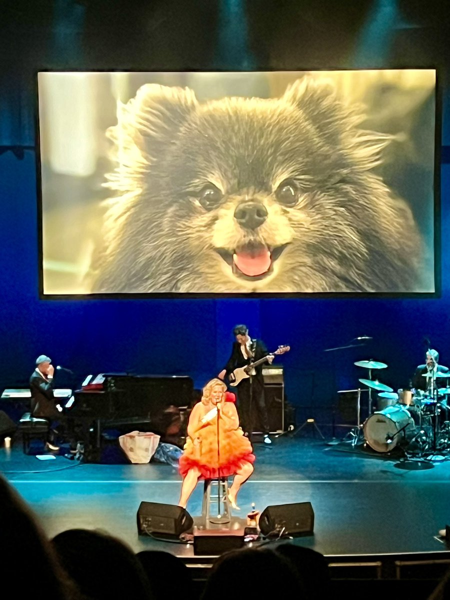 Everyman Agency tweet media