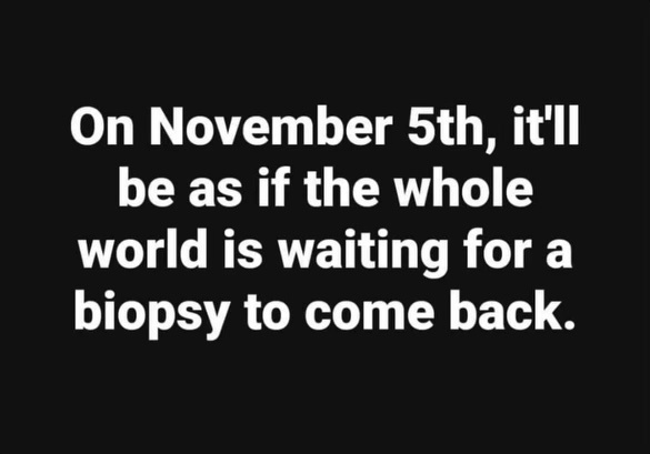LiftForever67's tweet photo. #FridayVibes #JustVoteBlue https://t.co/nc1nUIsjEP