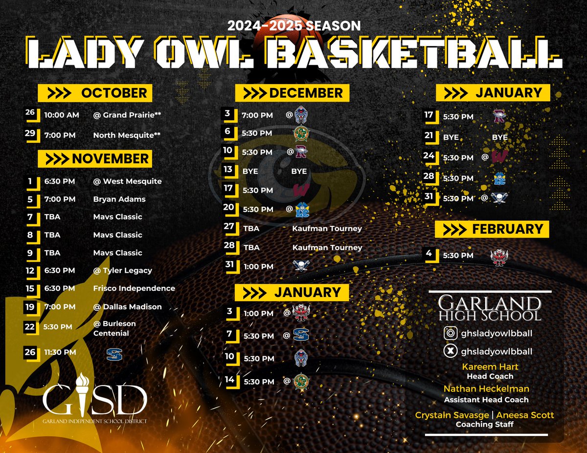 Basketball 🏀 is in the air!! Come and support the Lady Owls the they start the 2024-25 season!
