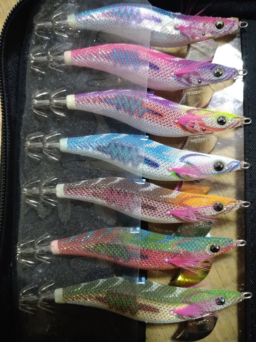 ACE92990604's tweet photo. エギ王信者によるエギケースの中身 https://t.co/94HC5IipGt