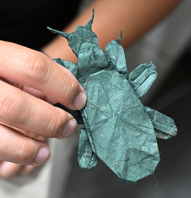 keatleygarvey's tweet photo. What an amazing origami of a leaf insect, crafted by #ucdavis alumnus Kevin  Murakoshi for Bohart Museum of Entomology. See all his "bug" origami in a display case in the hallway of Academic Surge, 455 Crocker Lane. Monarchs, mantises, ticks. #BugSquad https://t.co/0USbpTtbHS https://t.co/z1wVq7iTJr