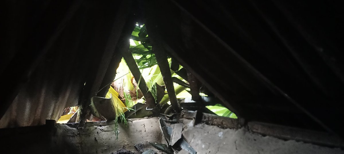 Jagabandhu sahoo tweet media