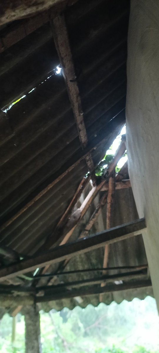 Jagabandhu sahoo tweet media