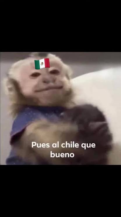 RayCraven17's tweet photo. @therealbuni Jajajaja https://t.co/Tck13yehyc