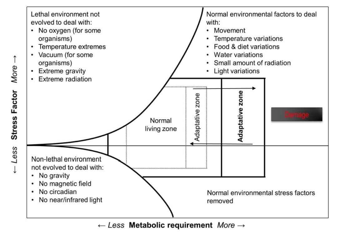 Max Gulhane MD tweet media