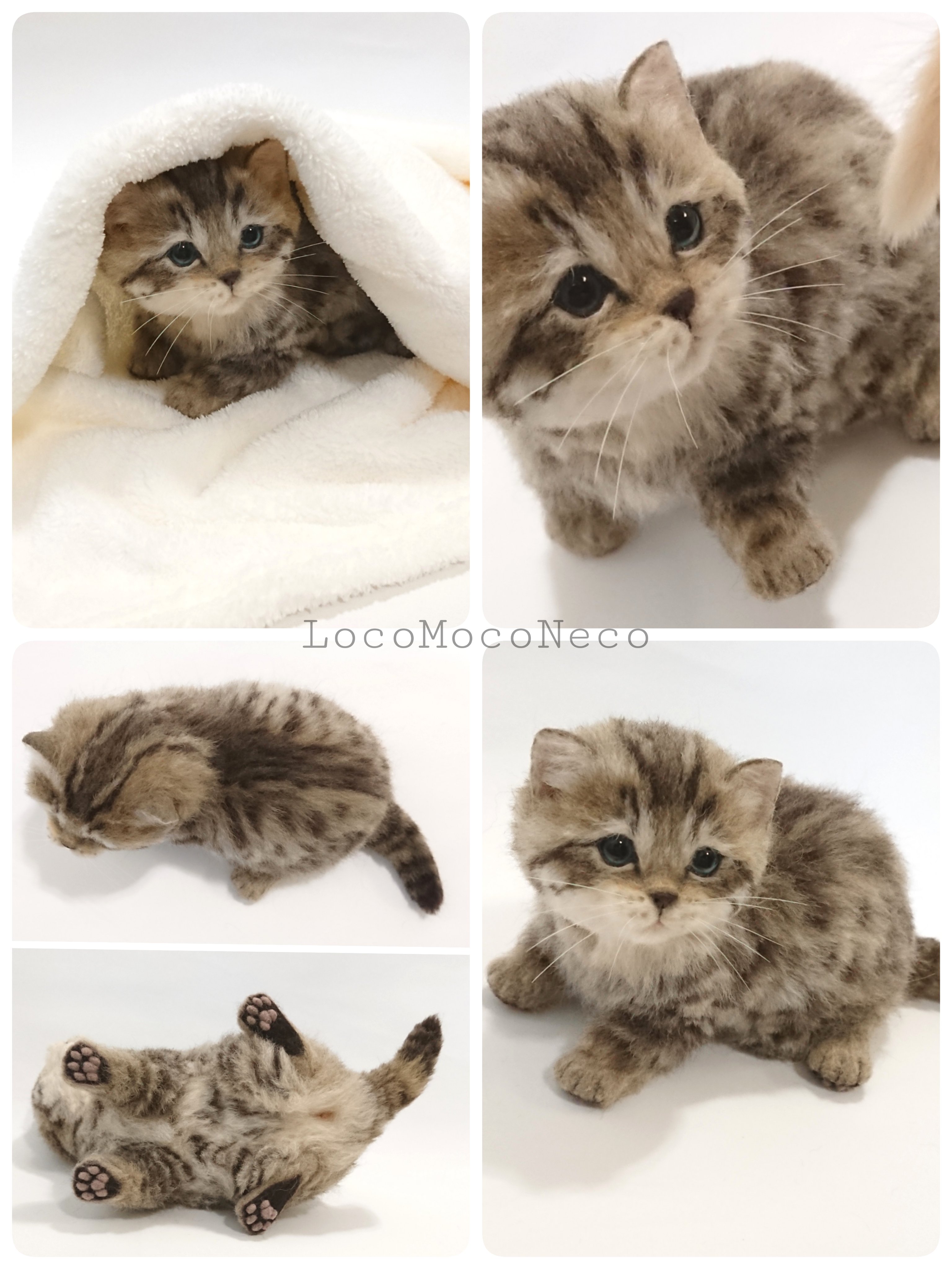 ろこもこねこ@羊毛フェルト (@LocoMocoNeco) / X ろこもこねこ@羊毛フェルト (@LocoMocoNeco) / X