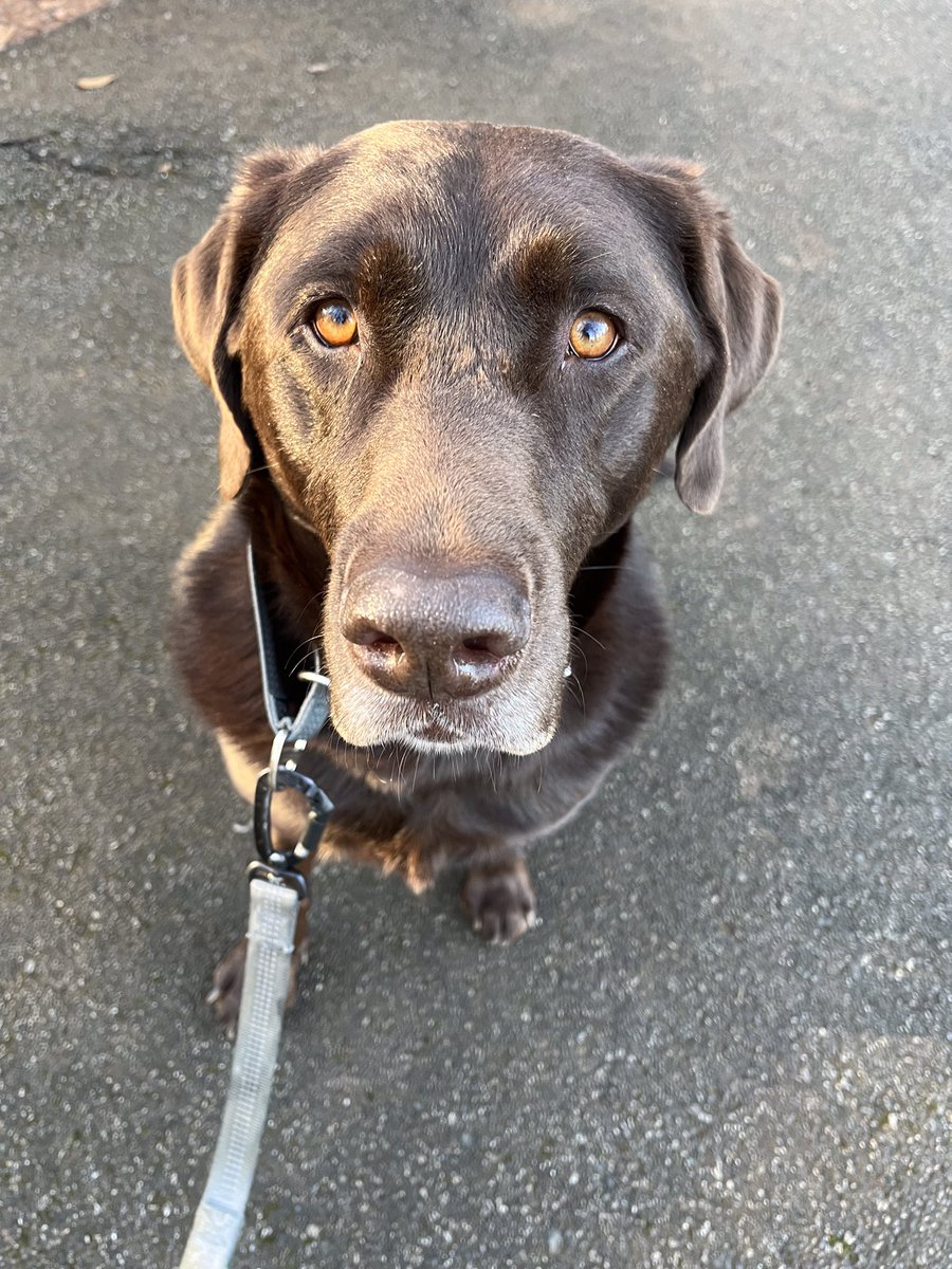 kim jackson tweet media