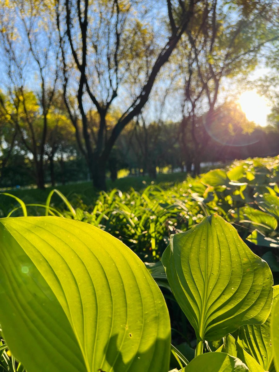 인생은 쓴맛이 있지만 달콤한 커피 한잔과 같습니다. 주의 깊게 맛보아야만 인생의 진정한 의미를 이해할 수 있습니다. ☺️❤️