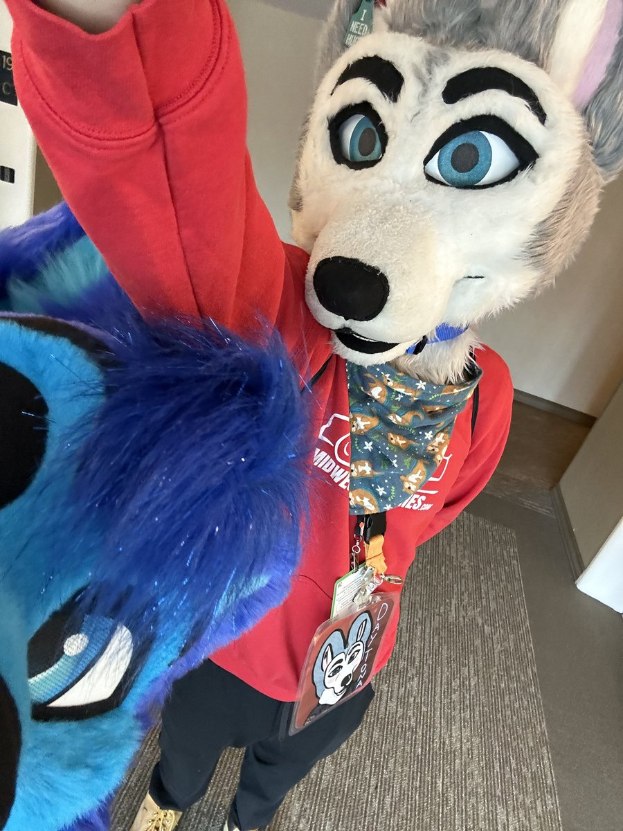 Daytona βSpeedyβ Husky! π FWA? AWU? MP? MFF! (@daytonahusky) on Twitter photo Getting ready to head down the Con spac!-
What in the?? Hey!!! Whatcha doing in here <a href="/AoiHasukii/">π©΅π Sapphire Husky ππ©΅</a> ?!π€¨π«΅
Someoneβs really photogenic apparently!βΊοΈπ«Άπ» Getting ready to head down the Con spac!-
What in the?? Hey!!! Whatcha doing in here <a href="/AoiHasukii/">π©΅π Sapphire Husky ππ©΅</a> ?!π€¨π«΅
Someoneβs really photogenic apparently!βΊοΈπ«Άπ»