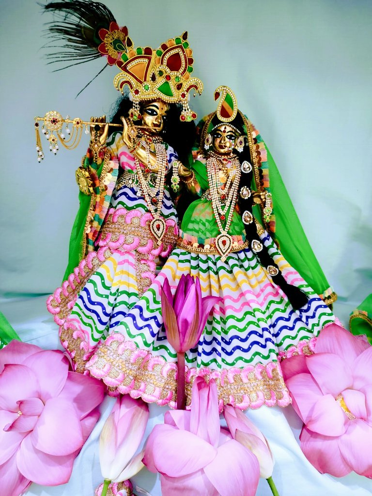 Jai Shree Radhe Krishna 🙏🏻🌸🙏🏻