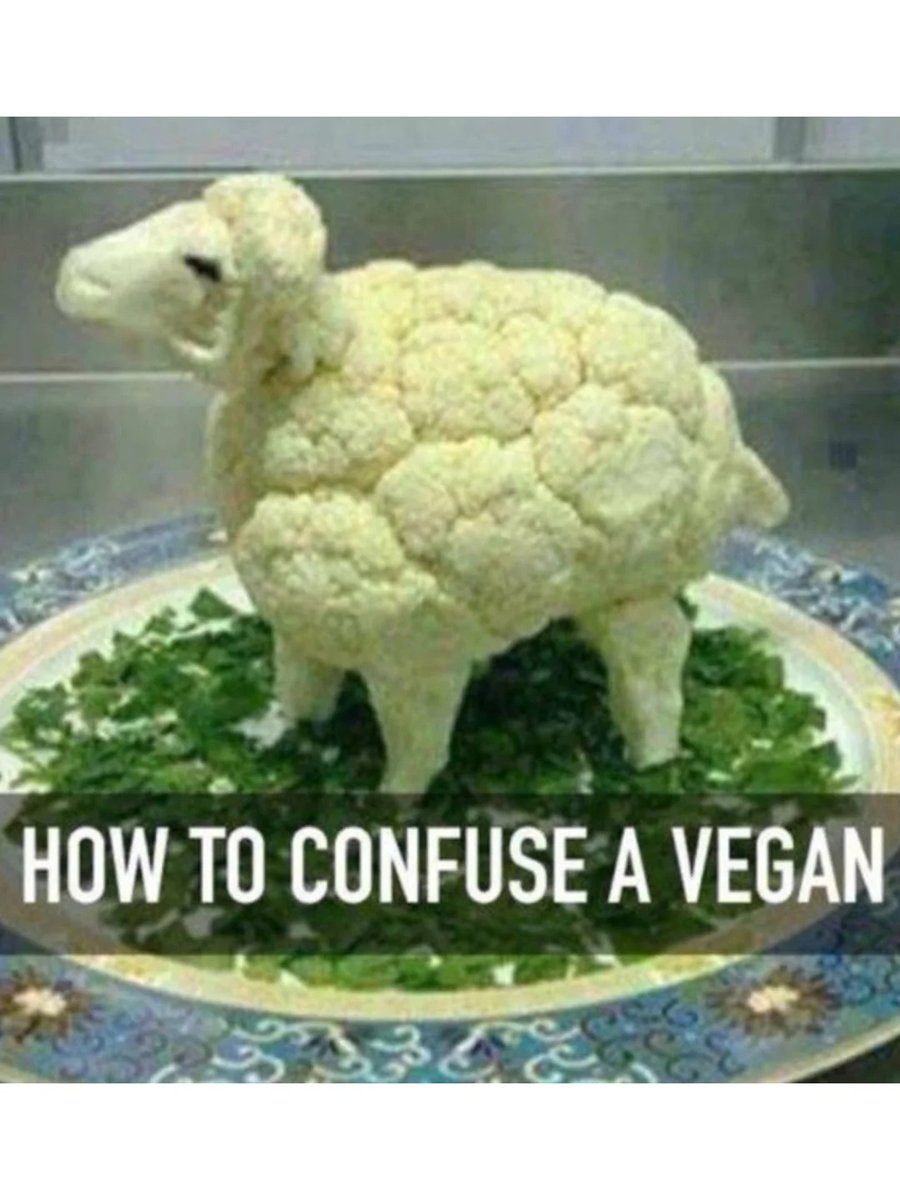 TutorEva332572's tweet photo. Wow, a vegan sheep https://t.co/V2ymPH9U7b