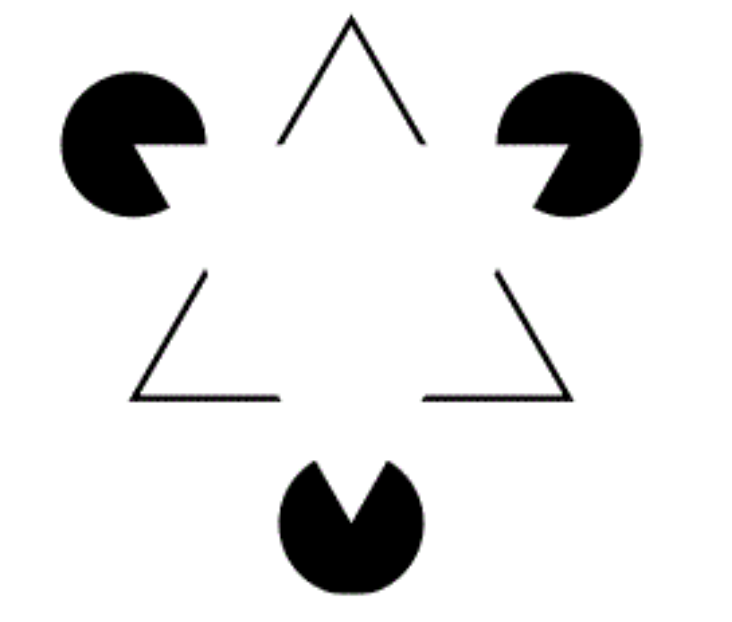 norijacoby's tweet image. I’ll be teaching an undergraduate course on perception next semester and would love to hear any ideas you might have. If you have any syllabi, slides, demos, or other resources, I’d greatly appreciate it!
