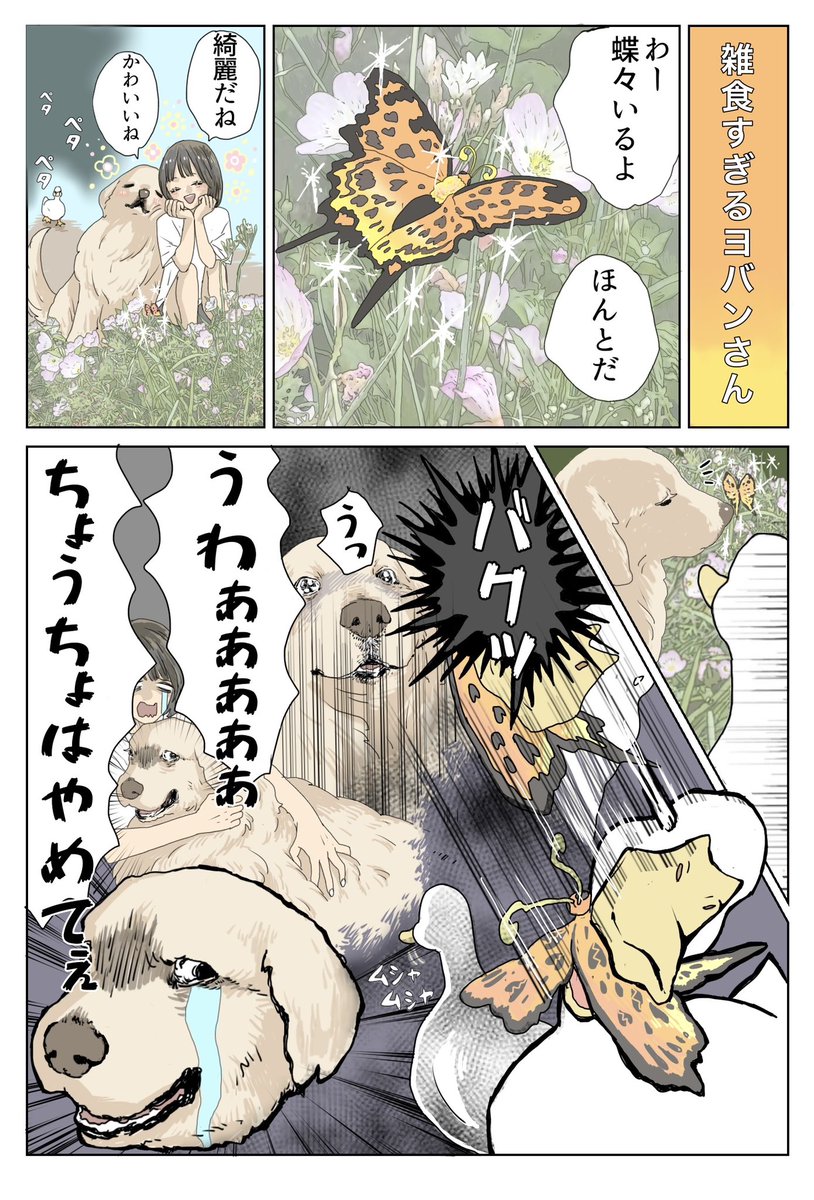 ヨバンさんが怖かった時です
『エースくんとヨバンさん 犬とアヒルの友情物語』
Amazon→ https://t.co/kKH679L6WO
#漫画が読めるハッシュタグ #エースくんとヨバンさん