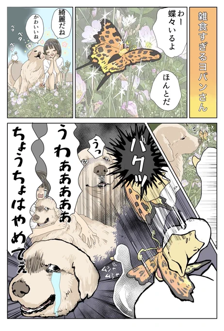ヨバンさんが怖かった時です

『エースくんとヨバンさん 犬とアヒルの友情物語』
Amazon→ https://t.co/kKH679L6WO

#漫画が読めるハッシュタグ #エースくんとヨバンさん 